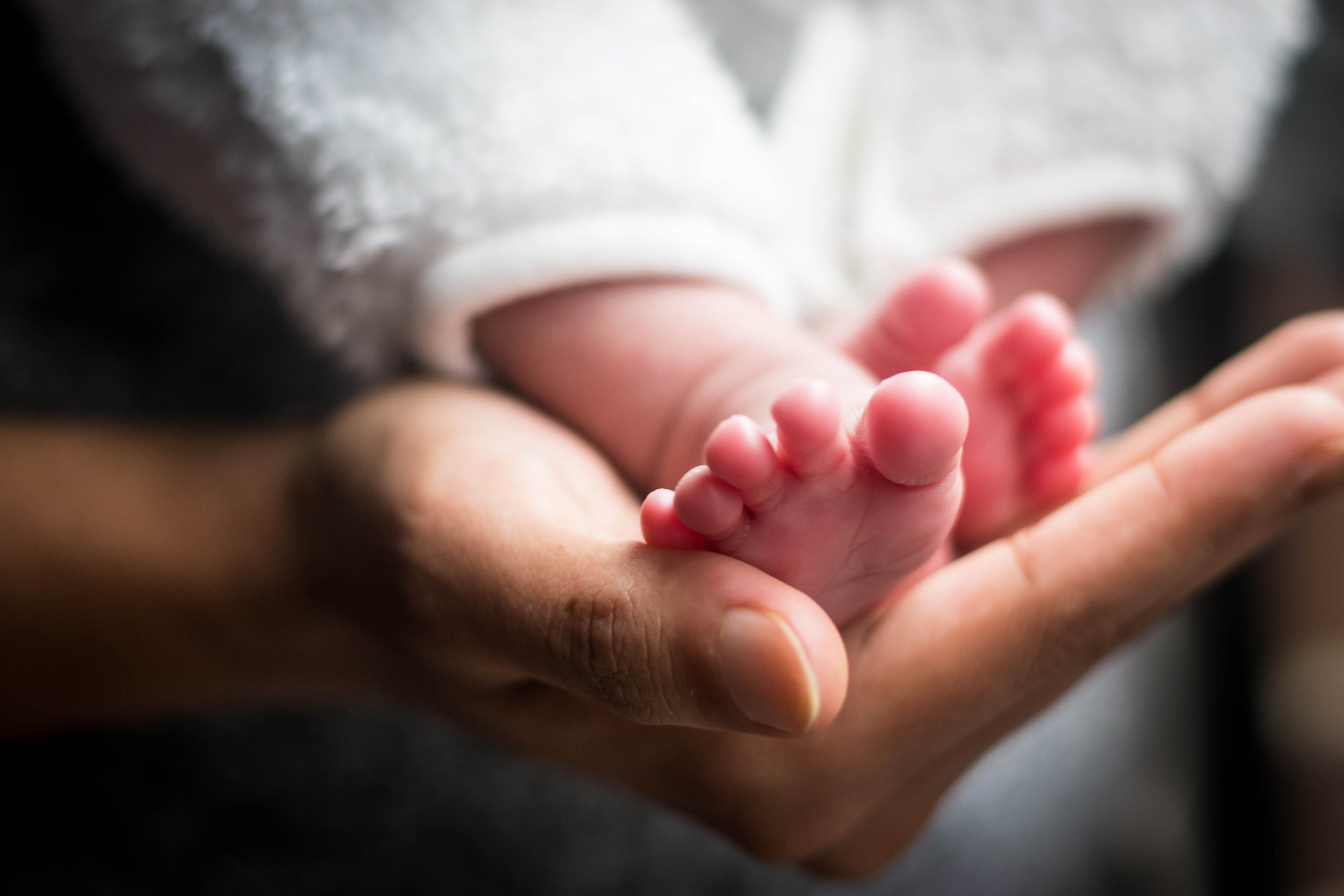 Newborn's feet resting in a parent's hands